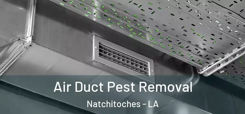 Air Duct Pest Removal Natchitoches - LA