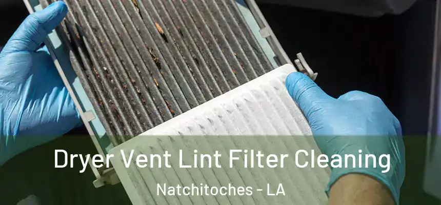  Dryer Vent Lint Filter Cleaning Natchitoches - LA