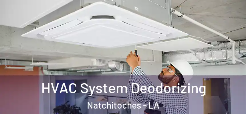 HVAC System Deodorizing Natchitoches - LA