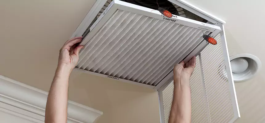 Preventive Cockroach-Proofing for Ducts in Natchitoches