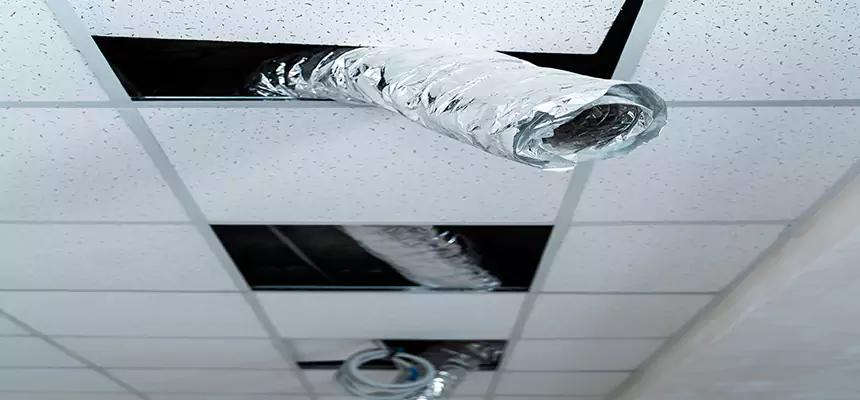 Our Air Duct Pet Hair Removal Services in Natchitoches, LA