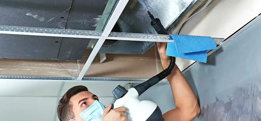 Our Air Duct Rodent Removal Services in Natchitoches, LA