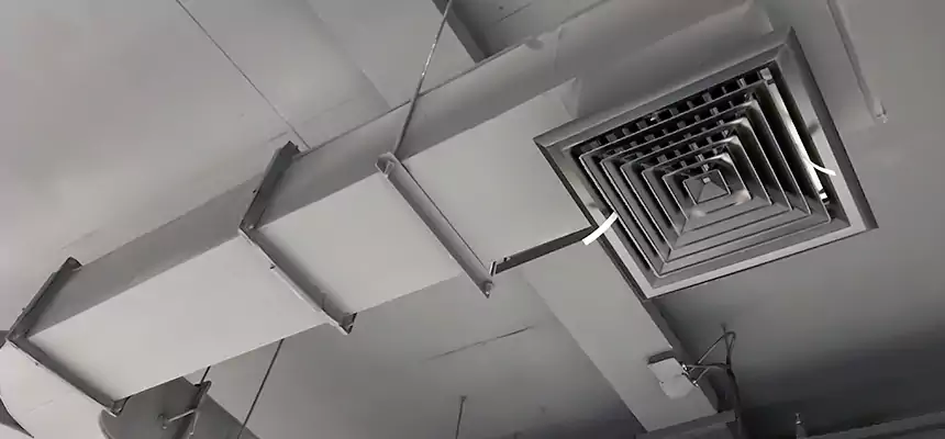 Restorative Allergy Relief Vent Cleaning – Coil, Blower & Housing Detail in Natchitoches