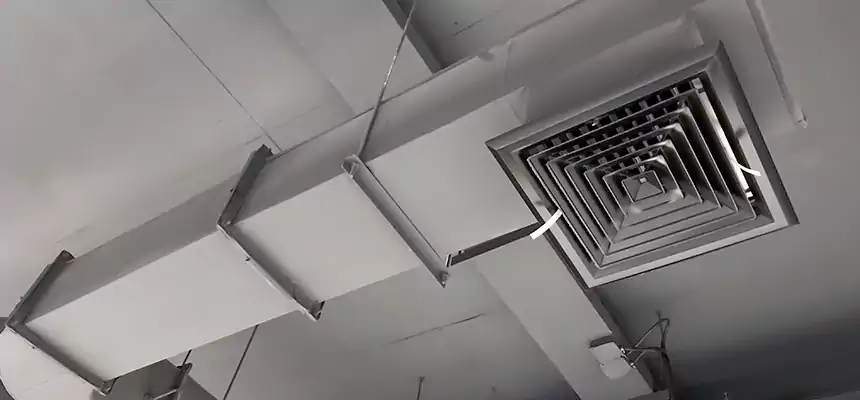 Our Pest Removal From Ducts Services in Natchitoches, LA