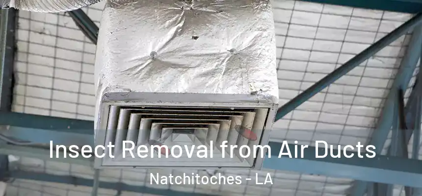  Insect Removal from Air Ducts Natchitoches - LA