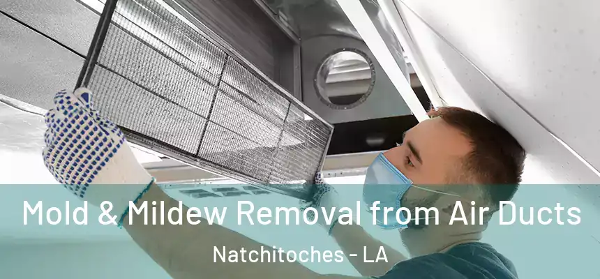  Mold & Mildew Removal from Air Ducts Natchitoches - LA