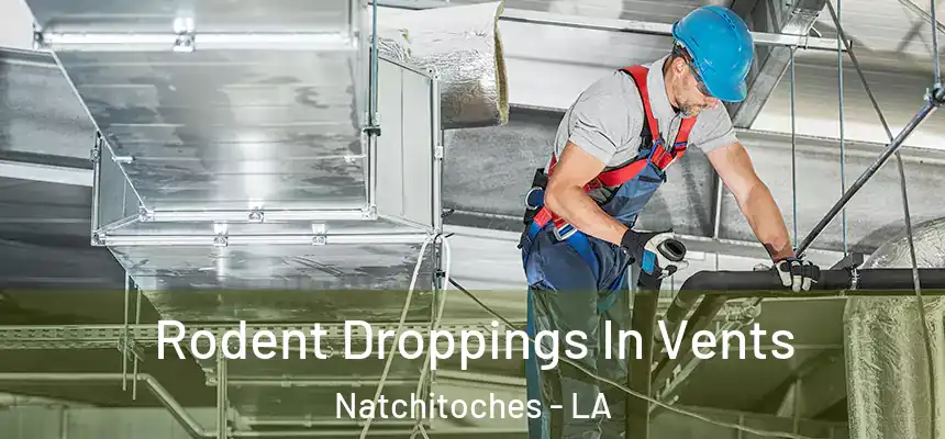  Rodent Droppings In Vents Natchitoches - LA