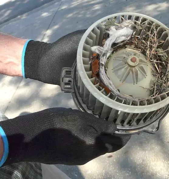 About Air Duct Rat Removal in Natchitoches, LA