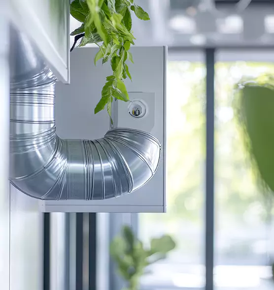 Professional Eco-Safe Dryer Vent Cleaning in Natchitoches, LA