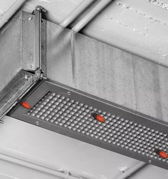 Affordable Insect Removal from Air Ducts in Natchitoches, LA