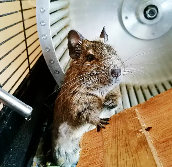 Why Homeowners & Businesses Trust Us Natchitoches, LA