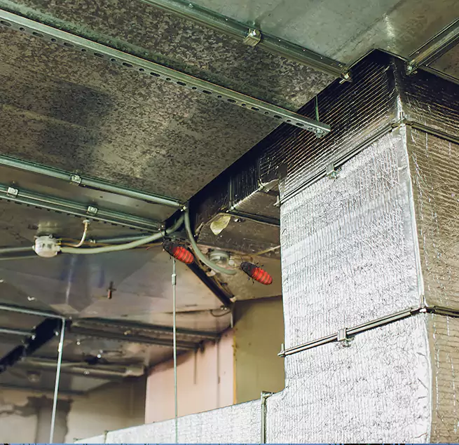 Why Homeowners & Businesses Trust Us Natchitoches, LA?